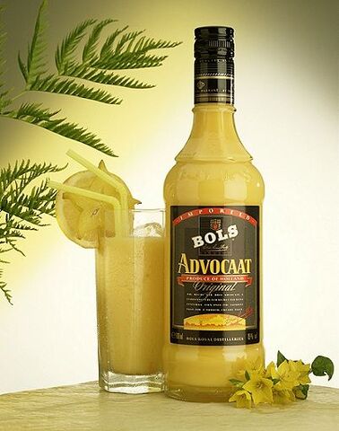 File:Advocaat.jpg