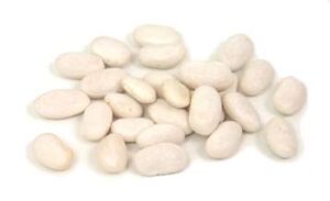 GreatNorthernBean