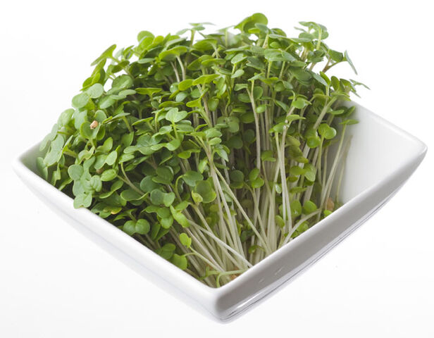 File:Mustard cress.jpg