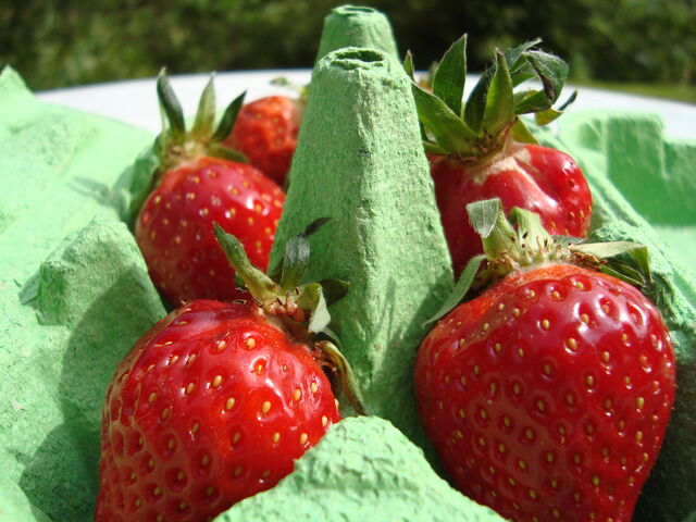 File:Strawberries .jpg