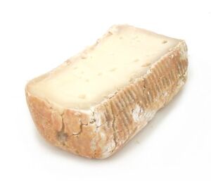 TaleggioCheese