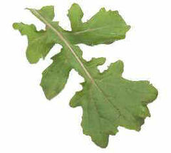 Arugula
