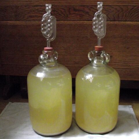 File:Elderflower wine 22 6 12.jpg