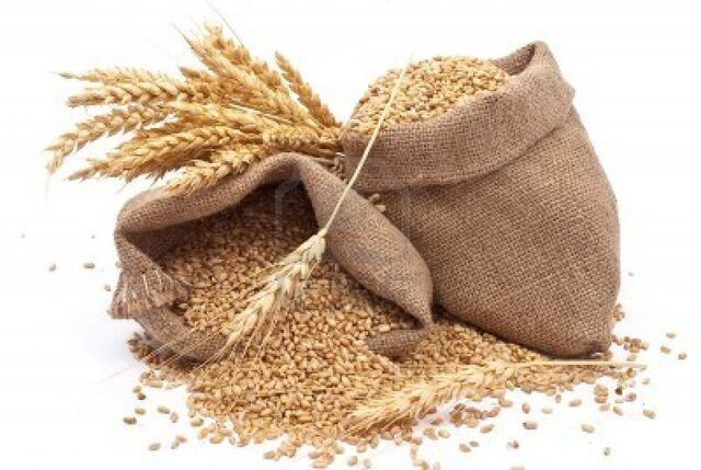 File:8378327-sacks-of-wheat-grains.jpg