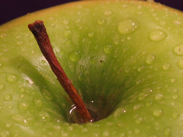 File:Granny+Smith-8945.jpg