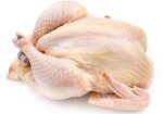 POULTRY