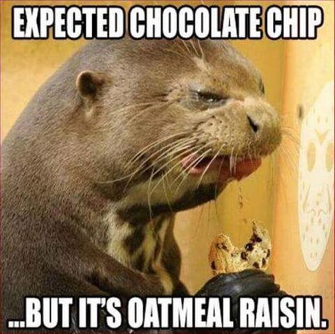 File:Chocomemeotter.jpg