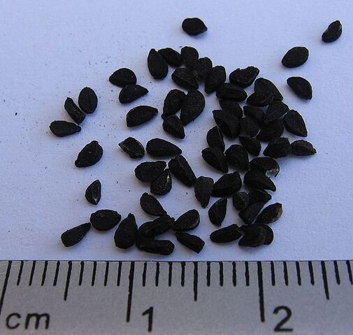 File:Black cumin seeds.jpg