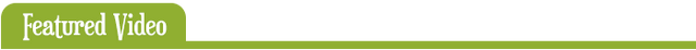 File:FeaturedVideo.png