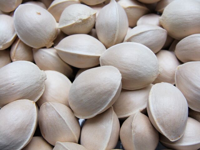 File:Ginkgo seed.jpg