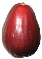 Ambarella