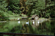 Izvor rijeke Bosne, BIH