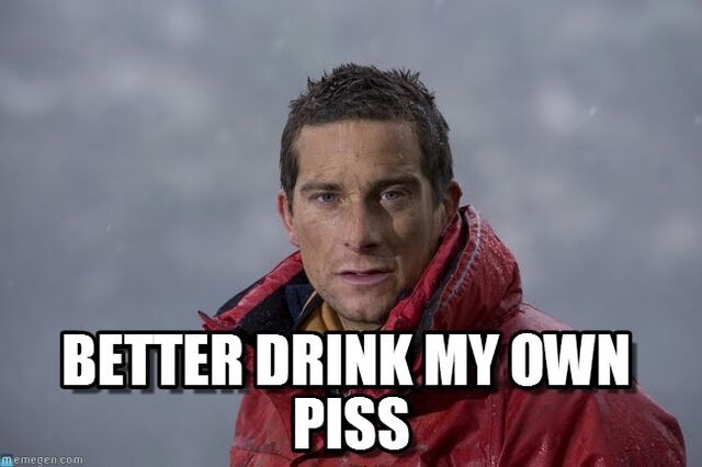 File:Piss.jpg