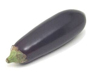 Holland eggplant