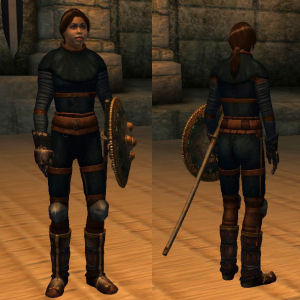 Training Armor