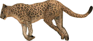 300px-Kahn.png