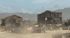 Tumbleweed nah.jpg