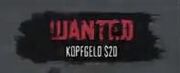 Wanted.jpg