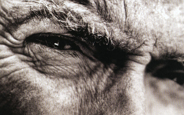 File:Clint.jpg
