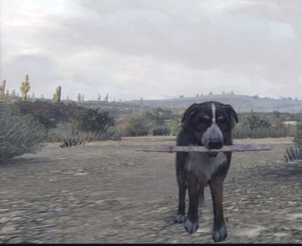 File:Dog-fetching-stick.jpg