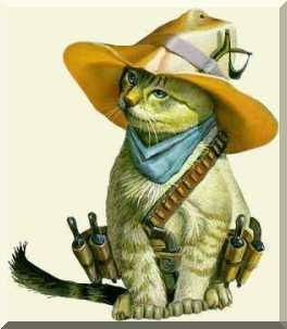 Uz cowboy cat