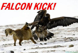 Falcon-kick