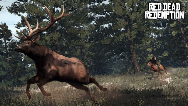 File:Rdr elk hunt.jpg