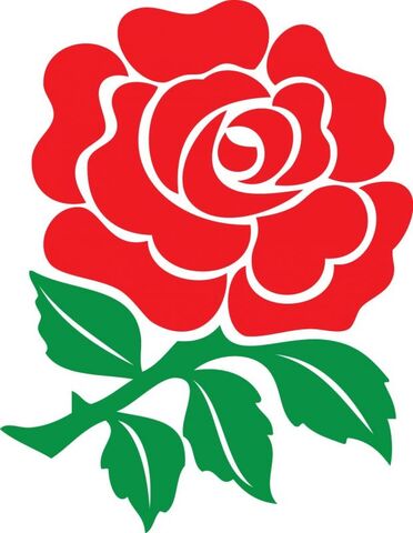 File:English Rose 550 Pixal.jpg