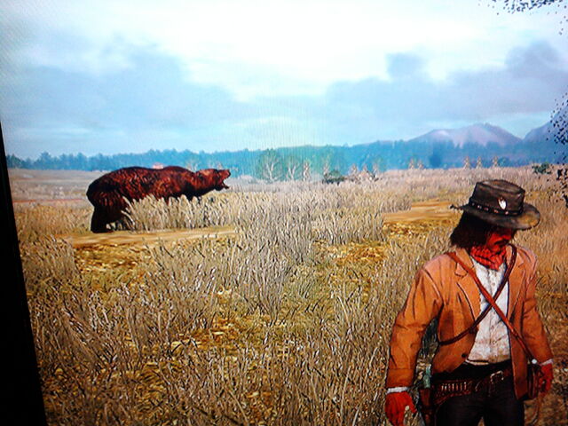 File:BearGratPlains.jpg