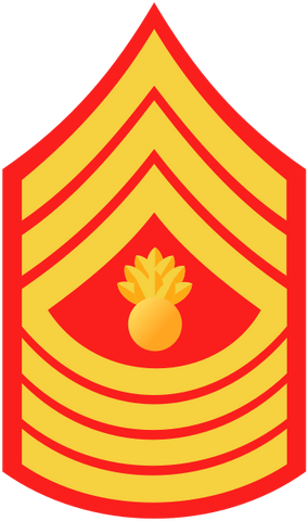 File:USMC-E9-MGyS.svg.png