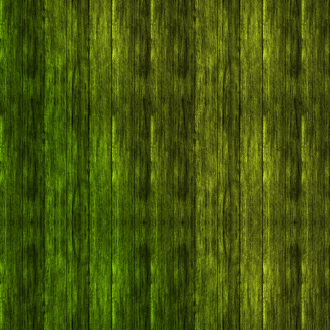 File:Bg7.jpg