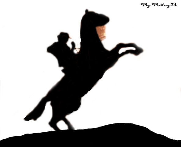 File:Baileys TRDR design.jpg