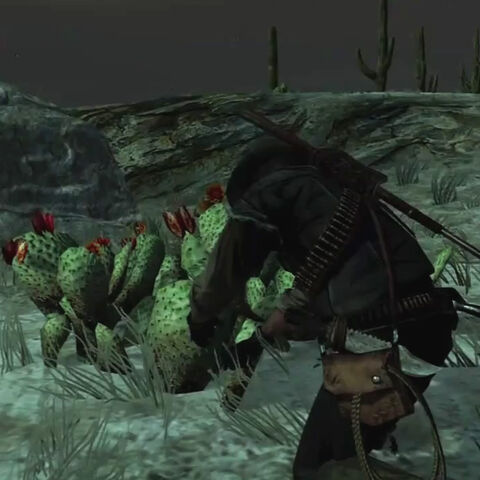 File:Rdr prickly pear.jpg