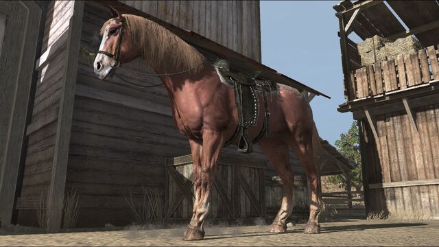 File:Rdr horse01.jpg