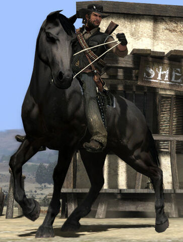 File:AmericanStandardbred-Front.jpg