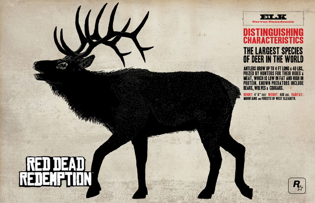 File:Elk.jpg