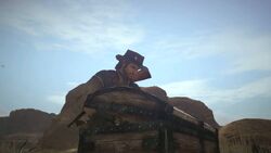 Rdr chest.jpg