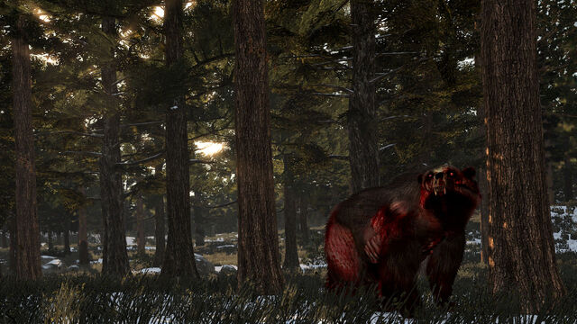 File:Rdr undead bear02.jpg