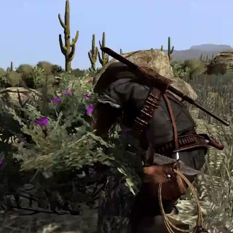 File:Rdr desert sage.jpg