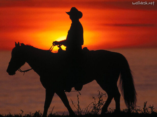 File:Santa-Cruz-Cowboy,-California.jpg