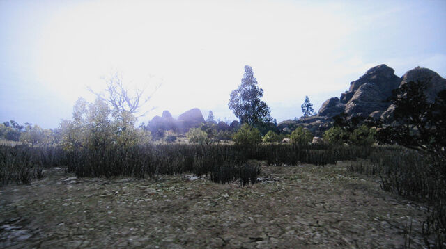 File:Rdr repentance rock.jpg