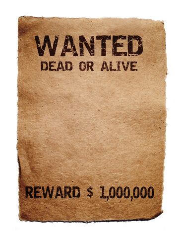 File:Wanted1.jpg