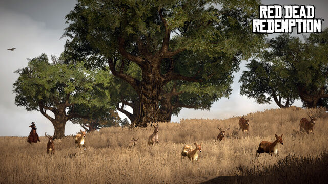 File:Deers and Bucks.jpg