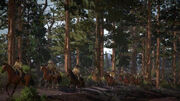 Rdr us army