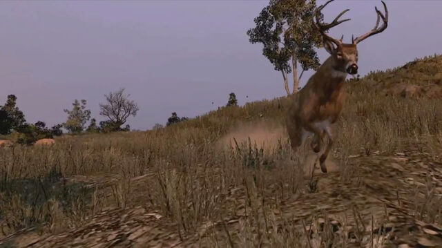 File:Rdr buck.jpg