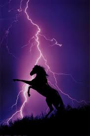 BlackLightning