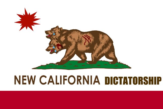 File:1720972-ncr flag.jpg