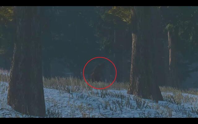 File:Sasquatch3.jpg