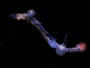 Holoship