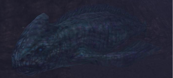 SonarWhaleRF1